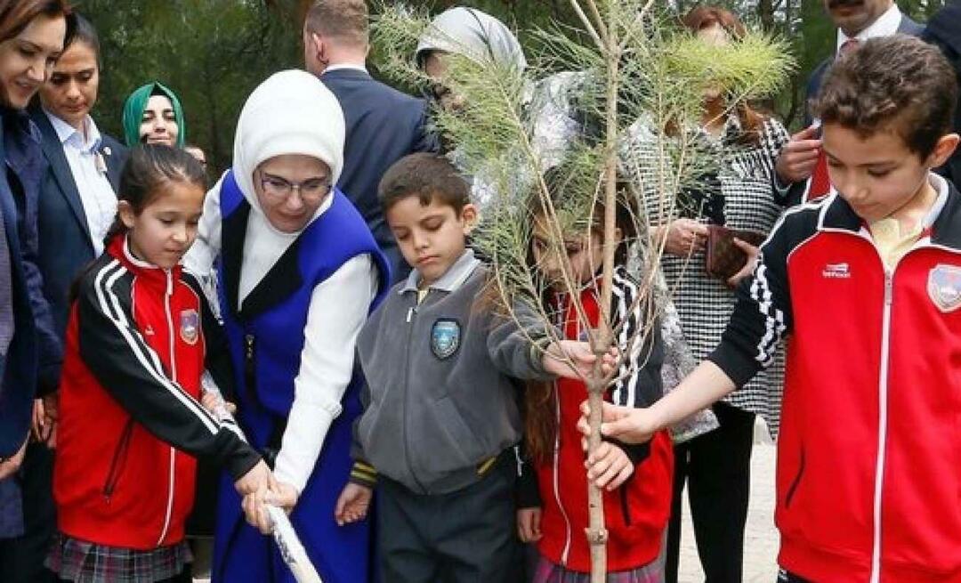 Publicación del Día Nacional de la Forestación de la Primera Dama Erdoğan