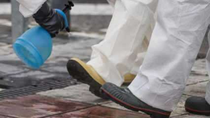 ¿Cómo hacer una limpieza completa de zapatos? ¿Cómo se desinfecta la parte inferior del zapato?