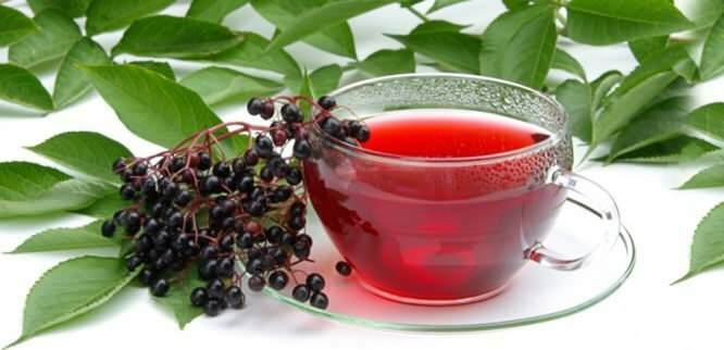 El té de saúco proporciona beneficios increíbles para el sistema inmunitario