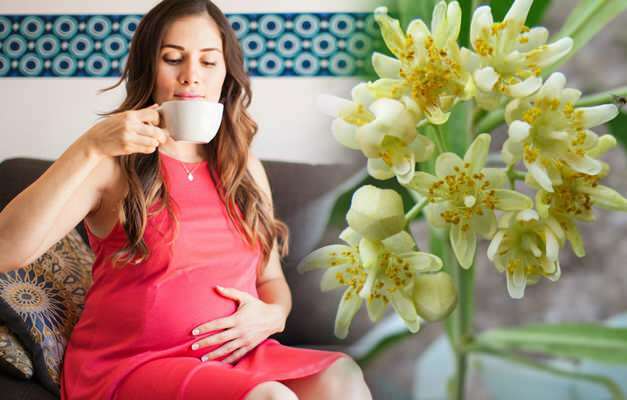 Sugerencia de té de hierbas durante el embarazo de Saraçoğl! ¿Es perjudicial para las mujeres embarazadas tomar té de hierbas?