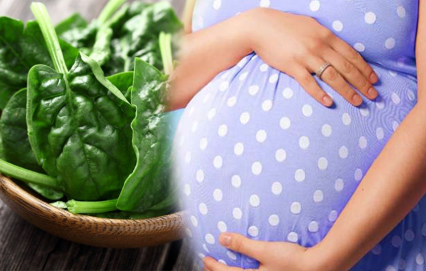 consumo de ácido fólico en el embarazo