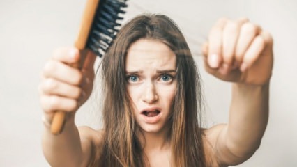 ¿Cuáles son los alimentos que previenen la caída del cabello?
