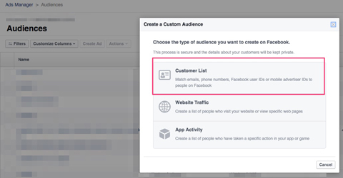 crear una audiencia personalizada de Facebook de suscriptores de correo electrónico