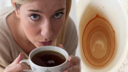 ¿Cómo sale la mancha de café de la taza y la taza?