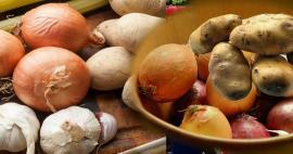 ¿Cómo almacenar papas y cebollas durante mucho tiempo? ¿Se pueden poner papas y cebollas en el mismo lugar?