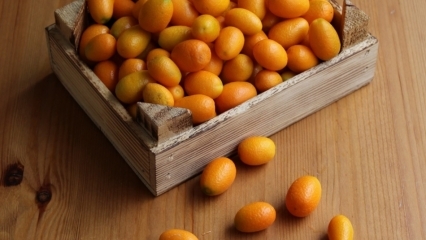 ¿Cuáles son los beneficios de Kumquat (Kumkat)? ¿Para qué enfermedades es bueno el kumquat? ¿Cómo se consume el kumquat?