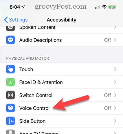 Toque Control de voz en Configuración de accesibilidad de iPhone