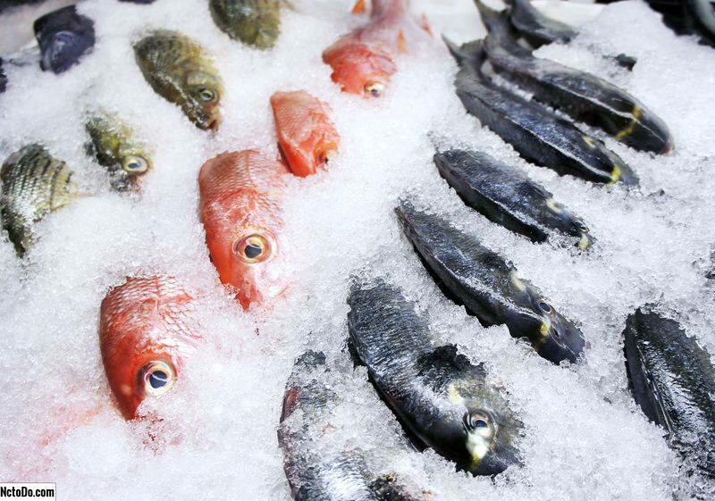 Cómo almacenar pescado en el congelador