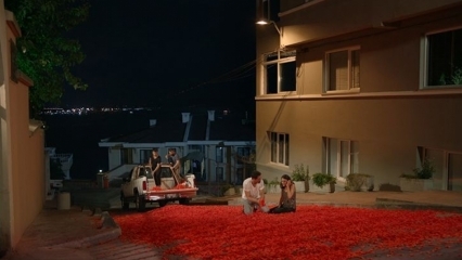 ¡La propuesta de matrimonio de Onur Tuna con 100 mil hojas de rosa!