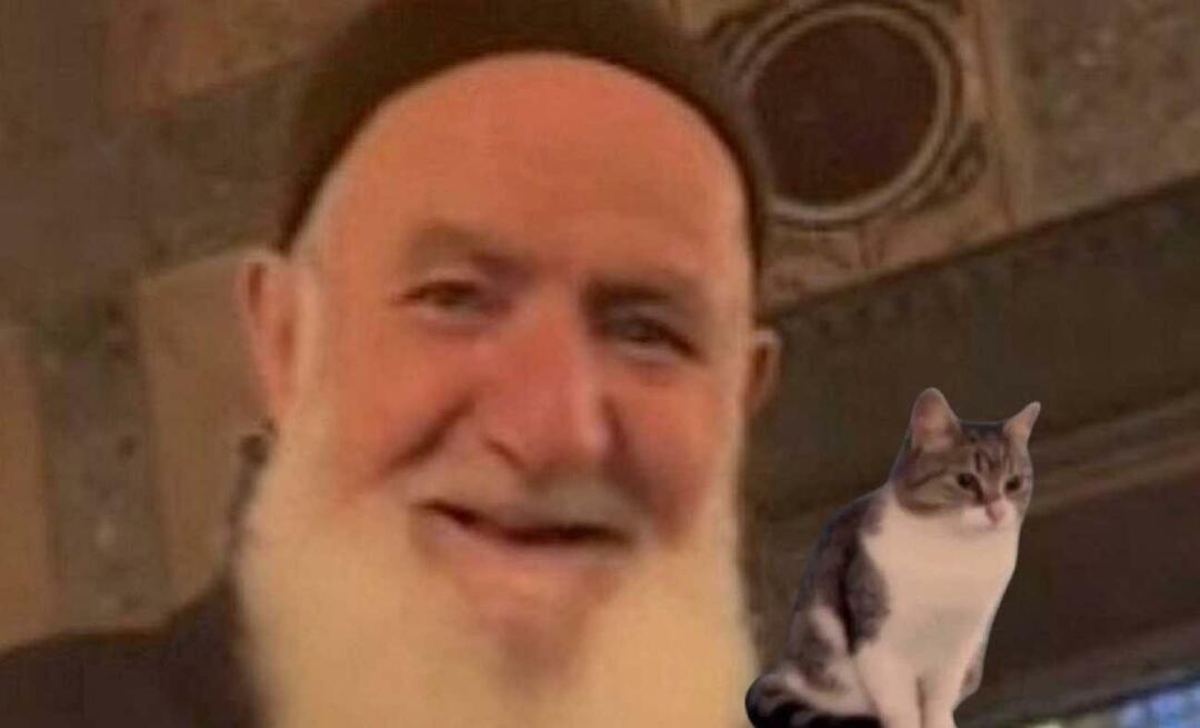 ¡El abuelo amante de los gatos habló por primera vez en Santa Sofía! Ahmet Dede me hizo sonreír de nuevo.