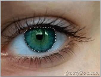 Conceptos básicos de Adobe Photoshop: capa de ojo seleccionada del ojo humano