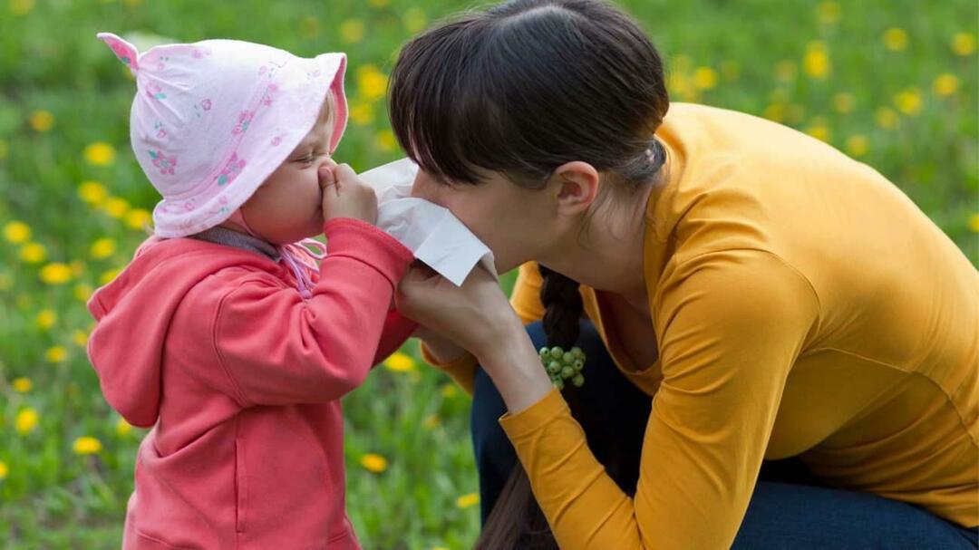 ¿Qué es la alergia estacional en los niños? ¿Se mezcla con el frío? ¿Qué es bueno para las alergias estacionales?