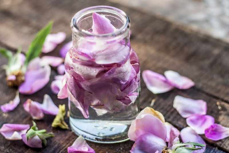 ¿Cómo hacer agua de rosas en casa? El método fácil de hacer agua de rosas ...