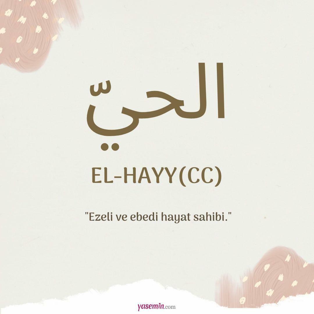 ¿Qué significa al-Hayy (cc)?