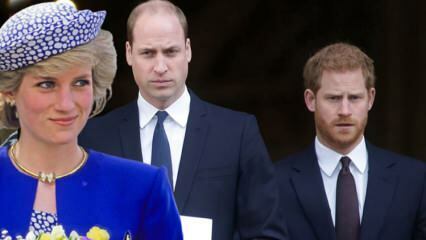 Culpa a los príncipes a la BBC... Príncipe William: ¡Esa entrevista rompió nuestra familia!