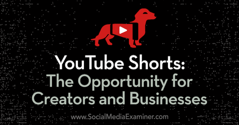 Cortos de YouTube: la oportunidad para creadores y empresas: examinador de redes sociales