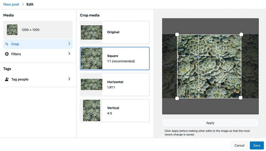 cómo-optimizar-los-tamaños-de-imágenes-de-redes-sociales-facebook-crop-example-1