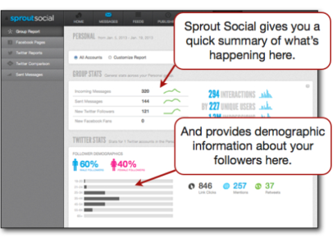 Resumen demográfico de Sprout Social