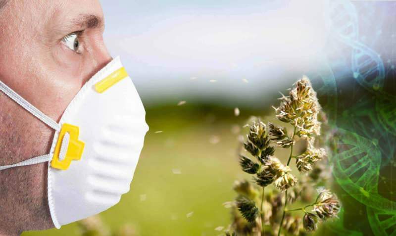 aumento de la alergia al polen
