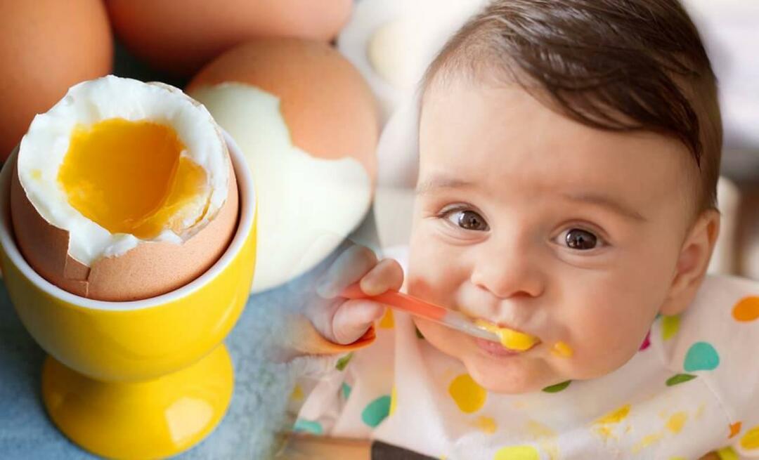 ¿Qué consistencia se les dan los huevos a los bebés? ¿Cómo hervir huevos para bebés?