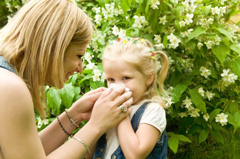 ¿Qué es bueno para las alergias estacionales en los niños?
