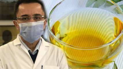 Té milagroso contra el virus: ¿cuáles son los beneficios del té de hoja de olivo? Preparar té de hojas de olivo