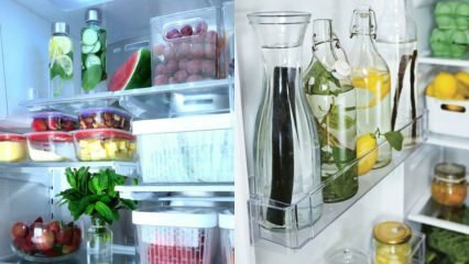 Recomendaciones de disposición de estantes para refrigeradores