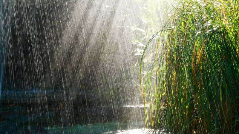 ¡Oraciones para ser leídas al agua de lluvia! ¿Se está curando la lluvia de abril? Beneficios de la lluvia de abril