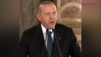 Presidente Erdogan: los artistas que vertieron su lado político en polémicas nos molestaron
