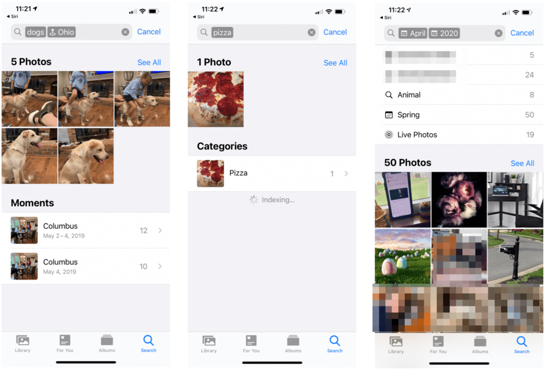 Cómo buscar objetos en fotos en iPhone y iPad