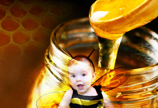 ¿se debe dar miel a los bebés?