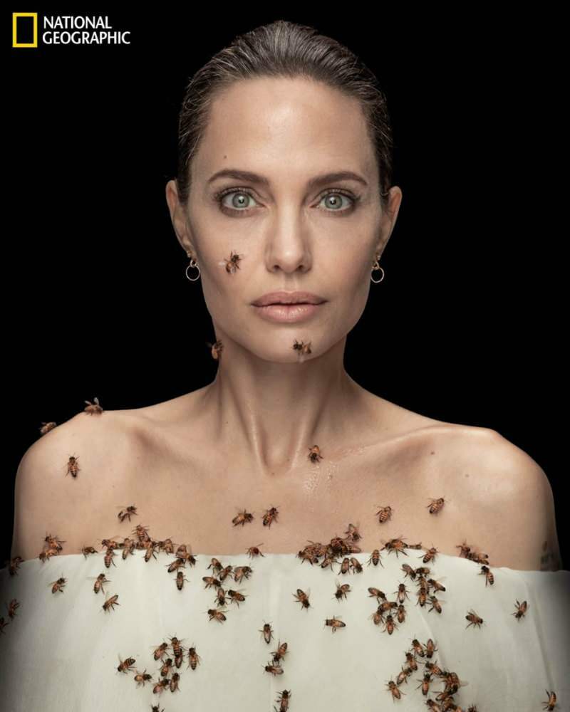 Angelina Jolie en lente con abejas para abejas!