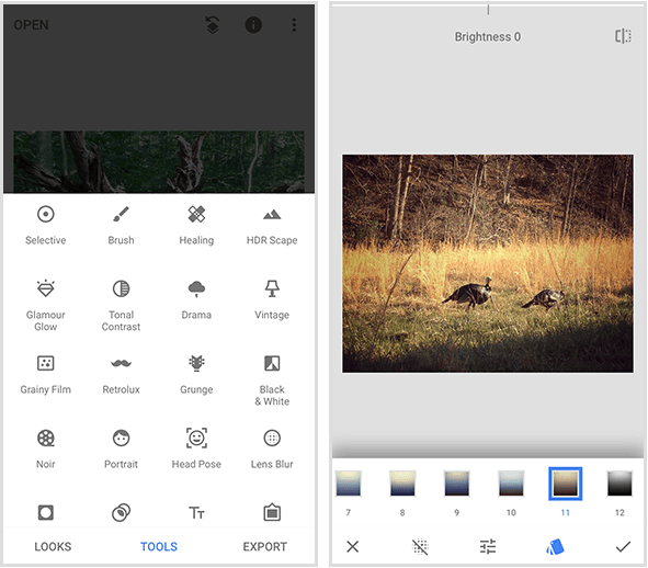 Un menú de Snapseed a la izquierda muestra 20 herramientas diferentes, y un ejemplo de filtro de Snapseed a la derecha muestra un foto de dos pavos salvajes caminando en la hierba dorada y un menú de filtros en la parte inferior de la pantalla del móvil.