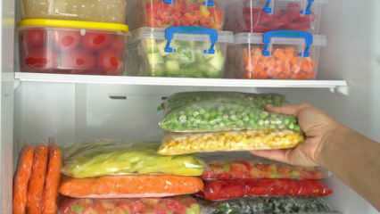 ¿Qué alimento debe permanecer en el congelador durante cuánto tiempo? ¿Cuánto tiempo se deben consumir las comidas en el congelador? 
