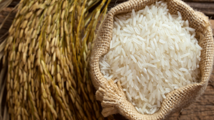 ¿Cómo se entiende lo mejor del arroz? 