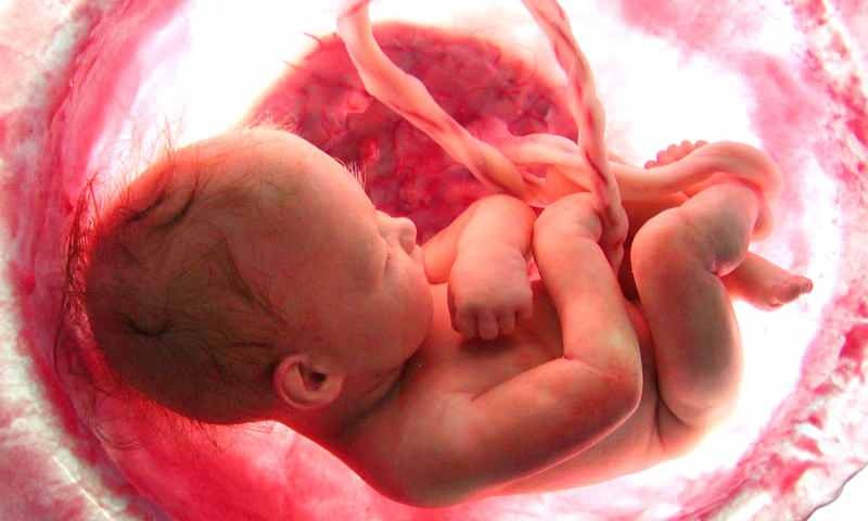 Nacimiento de un bebé en el útero