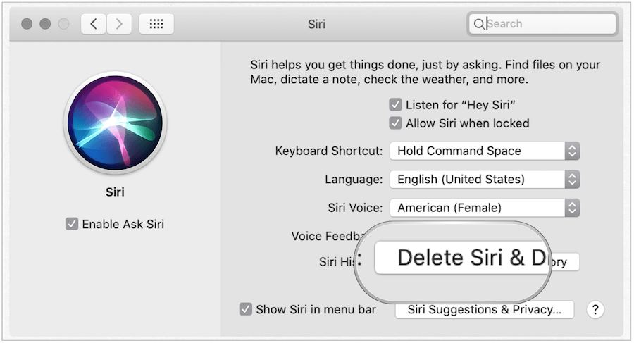 Eliminar el historial de Siri en Mac