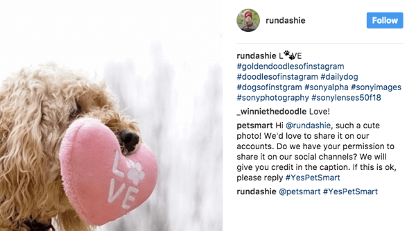 PetSmart examina una variedad de hashtags relacionados con mascotas y les pide a los fanáticos permiso para usar imágenes relevantes en su marketing.