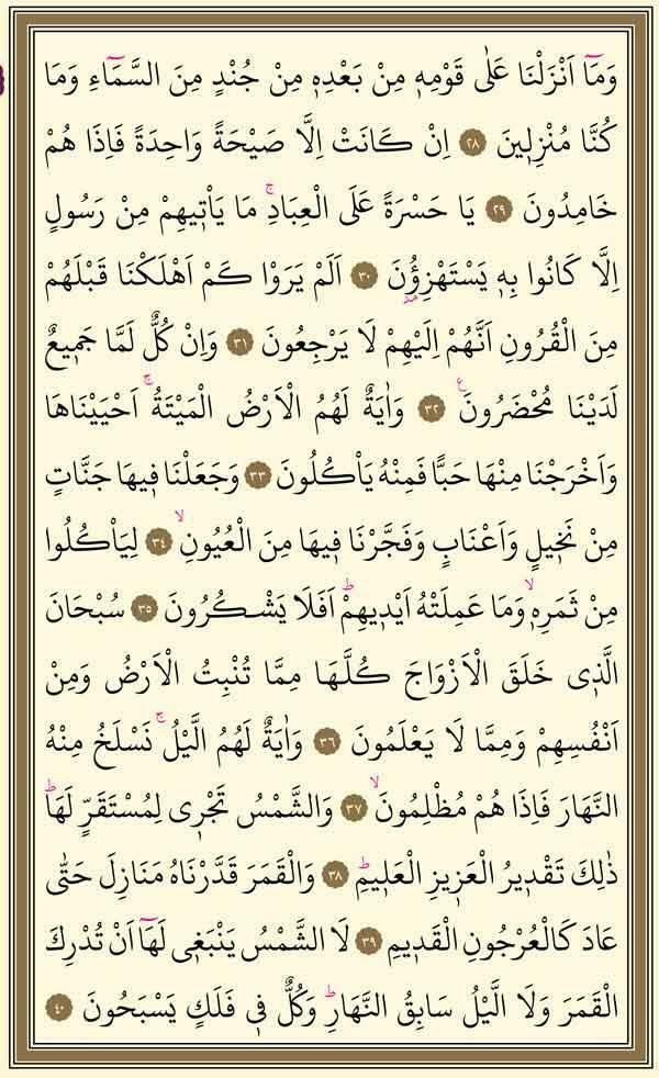 Surah Yasin 3. página
