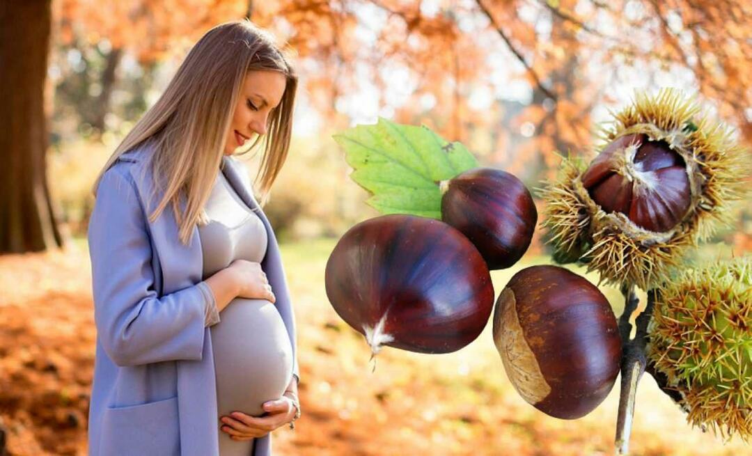 ¿Pueden las mujeres embarazadas comer castañas? Beneficios de comer castañas durante el embarazo para el bebé y la madre