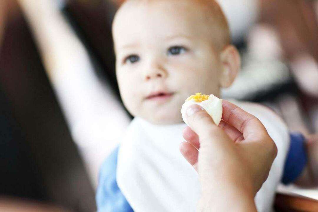 ¿Qué consistencia se les dan los huevos a los bebés? ¿Cómo hervir huevos para bebés?