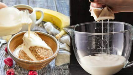 ¿Cómo hacer leche de avena en casa? Elaboración práctica de leche de avena.