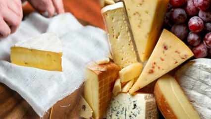 ¿Cómo se almacena el queso? ¿Cómo poner el queso en el frigorífico? Olor a queso