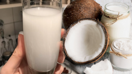 ¿Qué hace el agua de coco? ¿Cuáles son los beneficios del coco?