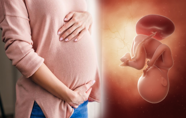 ¿Cuáles son los síntomas del embarazo? Síntomas tempranos del embarazo