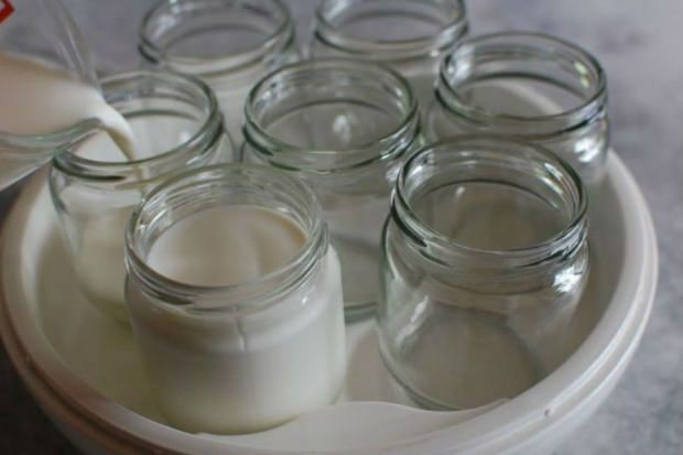 yogur de leche del pueblo