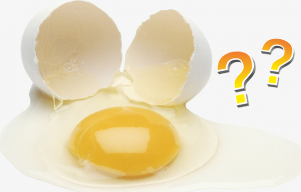 Si la yema de huevo o la clara es beneficiosa