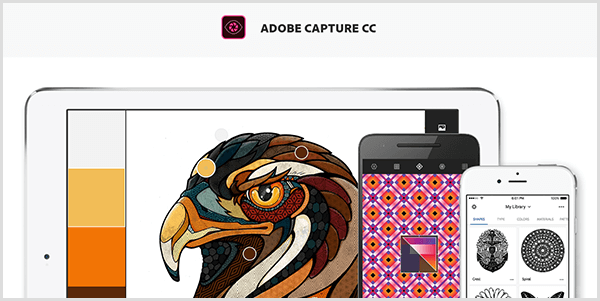 Adobe Capture crea una paleta a partir de una imagen que captura con un dispositivo móvil. El sitio web muestra una ilustración de un pájaro y una paleta creada a partir de la ilustración, que incluye gris claro, amarillo, naranja y marrón rojizo.