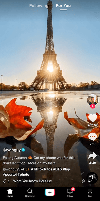 captura de pantalla de la publicación en tiktok de @ wonguy974 titulada Falsando otoño, que muestra la silueta de la torre Eiffel y la puesta de sol detrás de él con su reflejo en un charco enmarcado por dos hojas de otoño en la parte inferior de la imagen