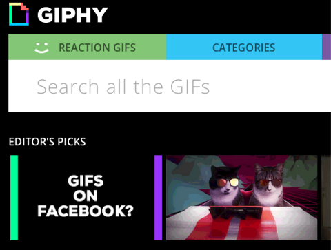 giphy en facebook